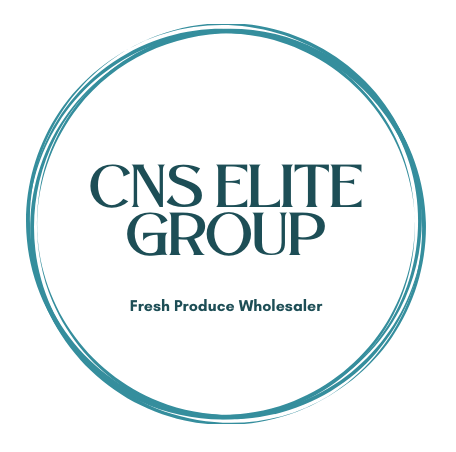 CNS Elite Group Logo